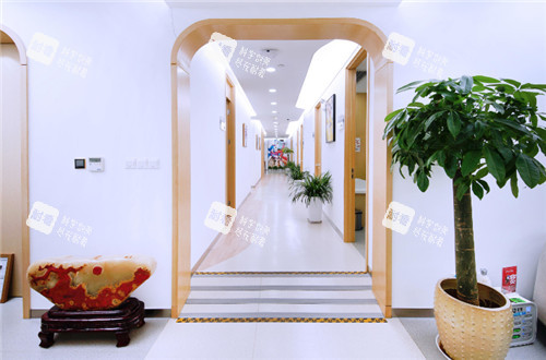 北京丰联丽格整形走廊环境图.jpg 北京丰联丽格整形走廊环境图.jpg