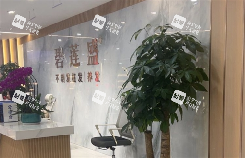 广州碧莲盛植发导诊台