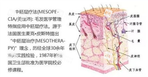头皮水光的原理 头皮水光的原理