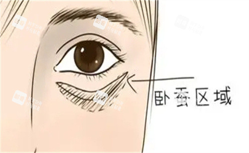 卧蚕所在区域