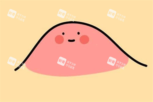 眼角脂肪粒示意图 眼角脂肪粒示意图