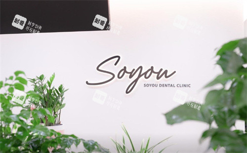 韩国soyou皮肤科LOGO