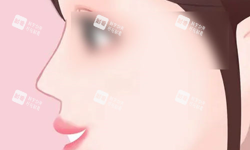 直鼻动画图.