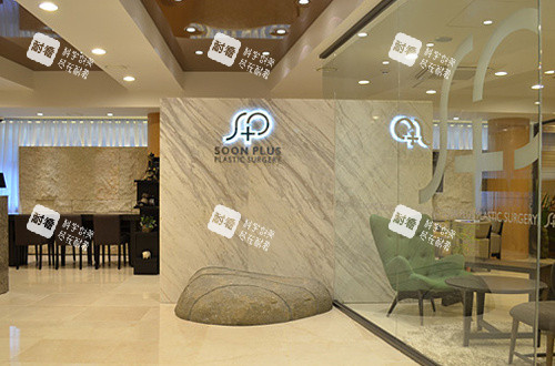 韩国SoonPlus整形外科LOGO 韩国SoonPlus整形外科LOGO