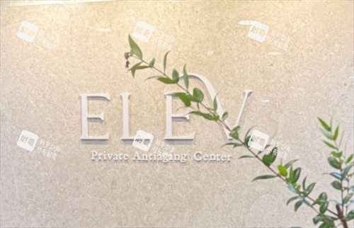 elev前台背景品牌logo展示