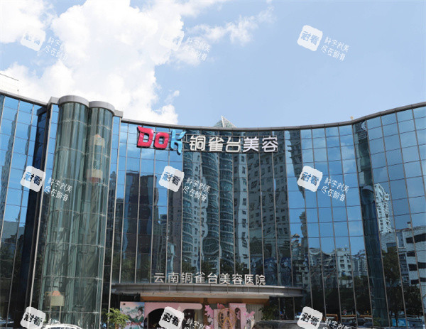 云南铜雀台医疗美容大楼外观.jpg