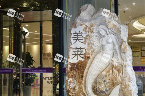 石家庄美莱医学美容医院外景 石家庄美莱医学美容医院外景