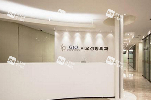 韩国GIO整形前台