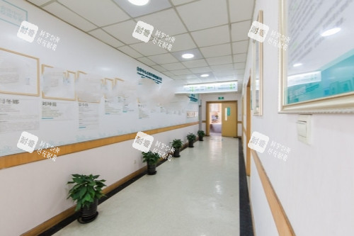 上海虹桥医院走廊 上海虹桥医院走廊