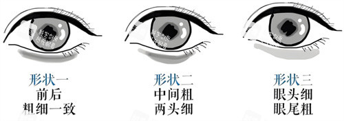 卧蚕形状图