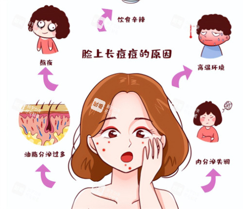 闭口问题的皮肤 闭口问题的皮肤