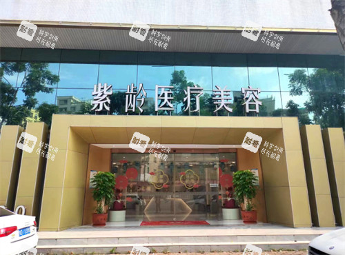 广东汕头紫馨（紫龄）整形门头