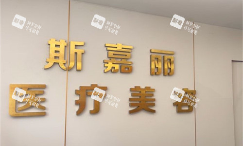 北京斯嘉丽整形logo图展示