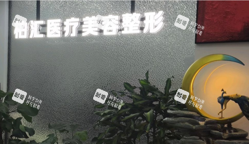 德州柏汇整形环境图