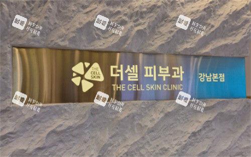 韩国the cell皮肤科江南店LOGO