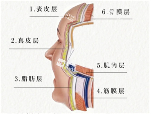 分层抗衰