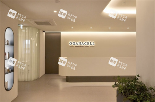 韩国oganacell皮肤科接待环境 韩国oganacell皮肤科接待环境