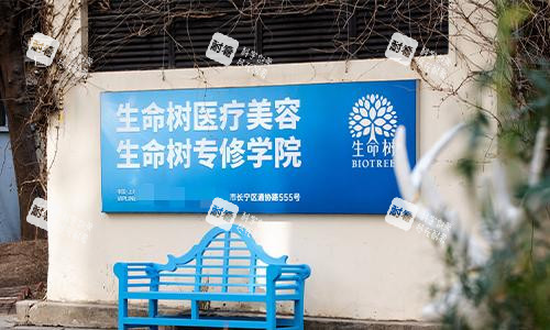 上海生命树整形logo 上海生命树整形logo