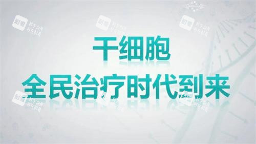 干细胞宣传图.png 干细胞宣传图.png
