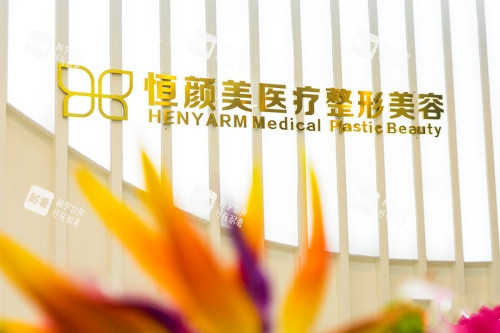 湖州恒颜美整形logo图.jpg