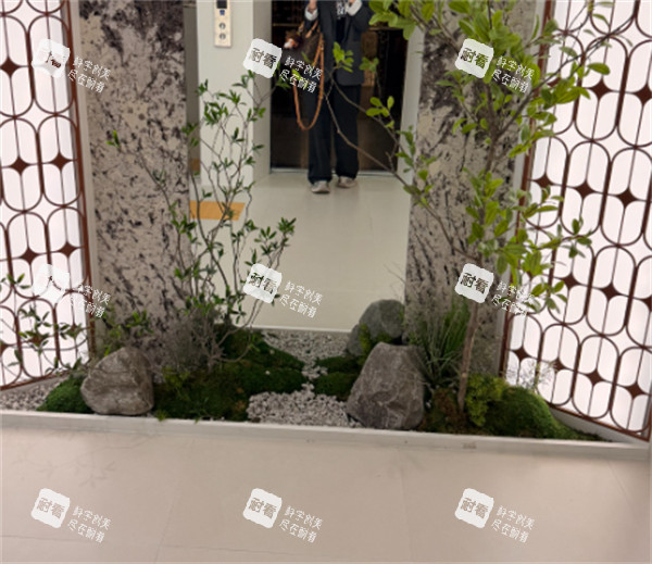 HEV皮肤科入口