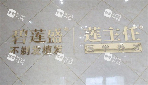 合肥碧莲盛植发LOGO 合肥碧莲盛植发LOGO