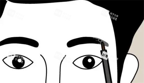 男士眉毛设计图 男士眉毛设计图