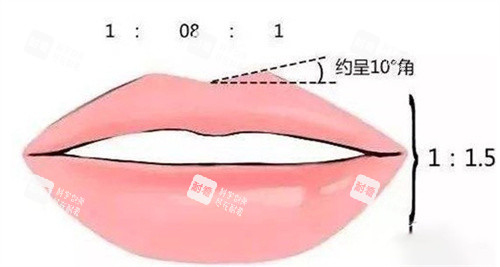 唇部比例.jpg 唇部比例.jpg