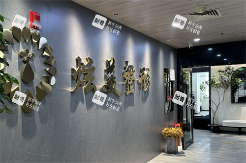 北京炫美整形logo.png 北京炫美整形logo.png