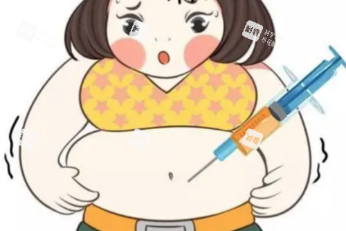 肚子吸脂卡通图.png 肚子吸脂卡通图.png
