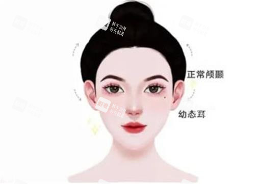 幼态脸的示意图.jpg 幼态脸的示意图.jpg