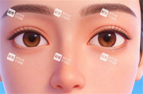 眼鼻整形.jpg 眼鼻整形.jpg