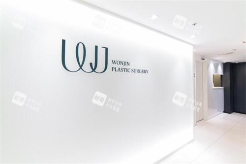 韩国WJ原辰整形logo图.jpg