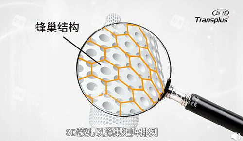 超体隆鼻蜂巢结构.jpg