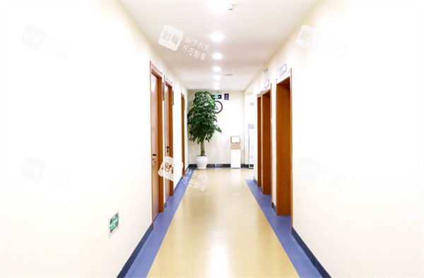 济南名韩植发内部走廊环境.jpg 济南名韩植发内部走廊环境.jpg