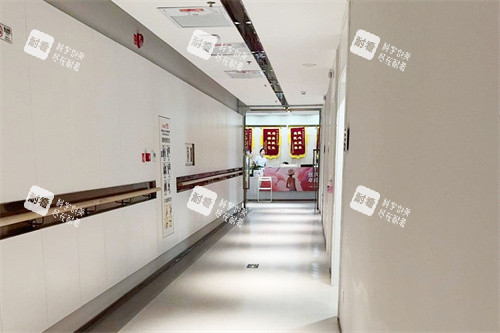 厦门欧菲口腔走廊.jpg 厦门欧菲口腔走廊.jpg