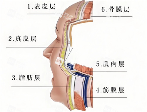 抗衰层次简介 抗衰层次简介