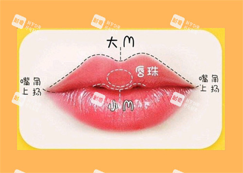 M唇的样子.jpg
