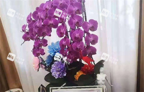 上海虹桥医院私密科大厅陈设.jpg