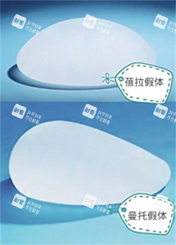 蓓拉假体和曼托假体.jpg 蓓拉假体和曼托假体.jpg