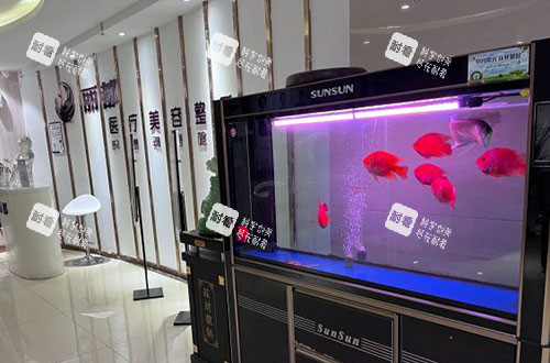 运城丽都整形大厅环境实拍图.jpg 运城丽都整形大厅环境实拍图.jpg