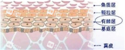 皮肤管理.jpg 皮肤管理.jpg