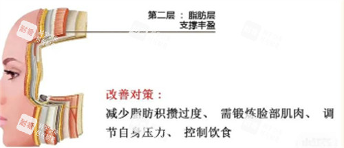 中层抗衰.jpg 中层抗衰.jpg