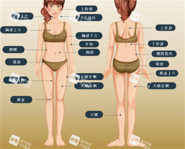 可吸脂部位.jpg 可吸脂部位.jpg