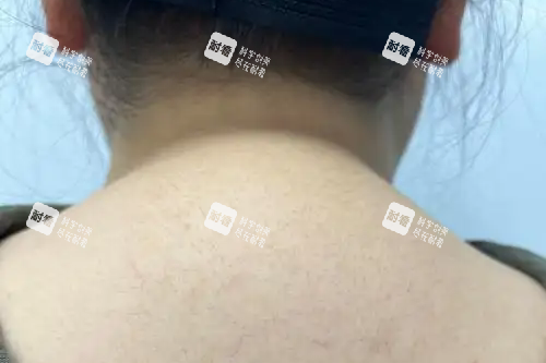 富贵包.webp.png 富贵包.webp.png
