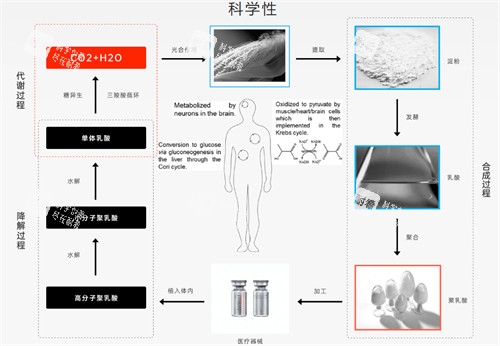艾维岚Löviselle科学性.jpg 艾维岚Löviselle科学性.jpg