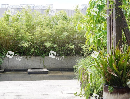 深圳南雅整形外部环境.JPG 深圳南雅整形外部环境.JPG