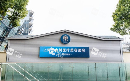 上海生命树整形logo示意图.jpg