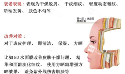 表层抗衰.jpg