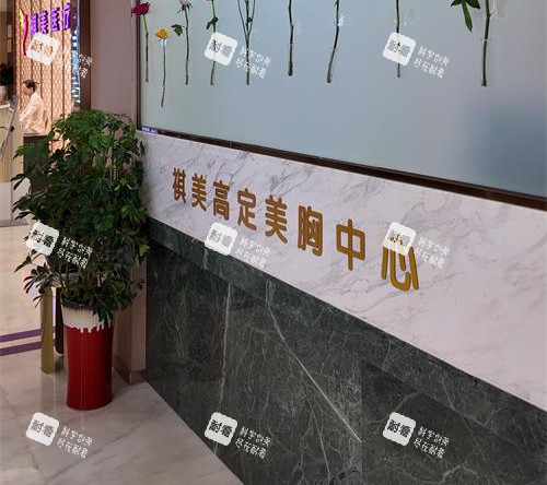 长沙祺美胸整形美胸中心.JPG